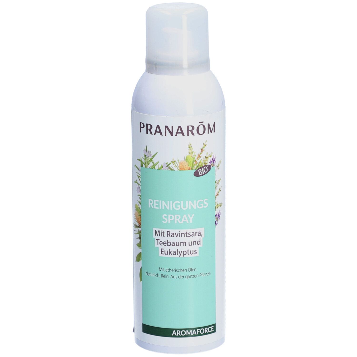 PRANAROM Reiniungsspray mit Ravintsara Teebaum und Eukalyptus Bio