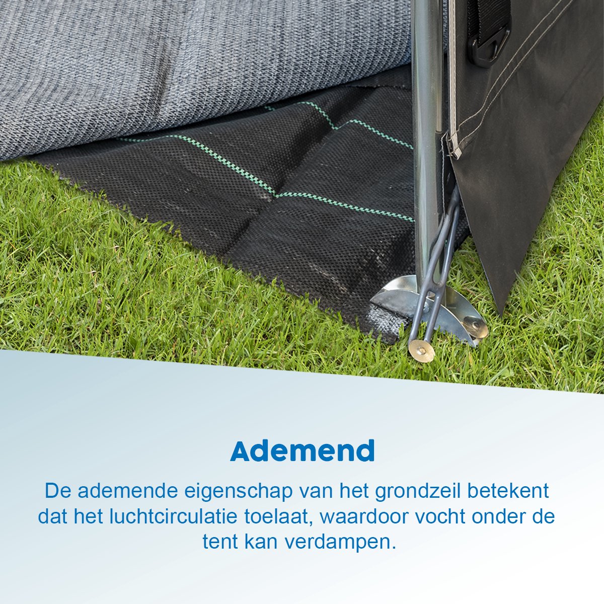 ProPlus Eco grondzeil - 2.5 x 3 meter