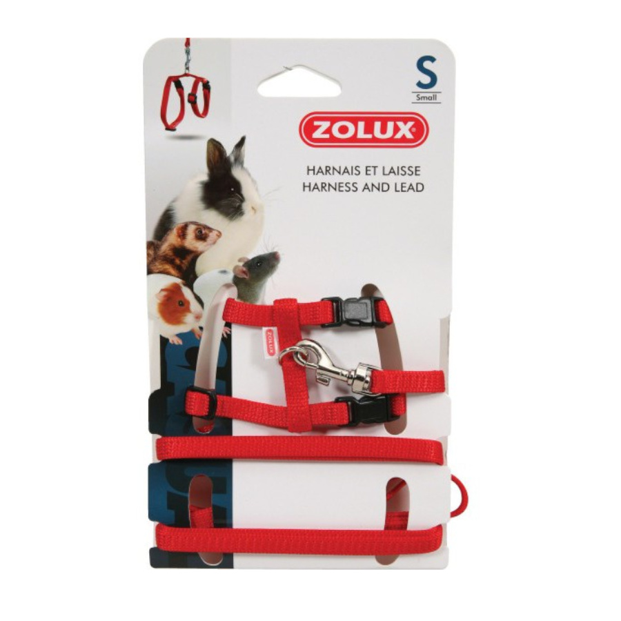Coleira Zolux vermelha com guia para roedores