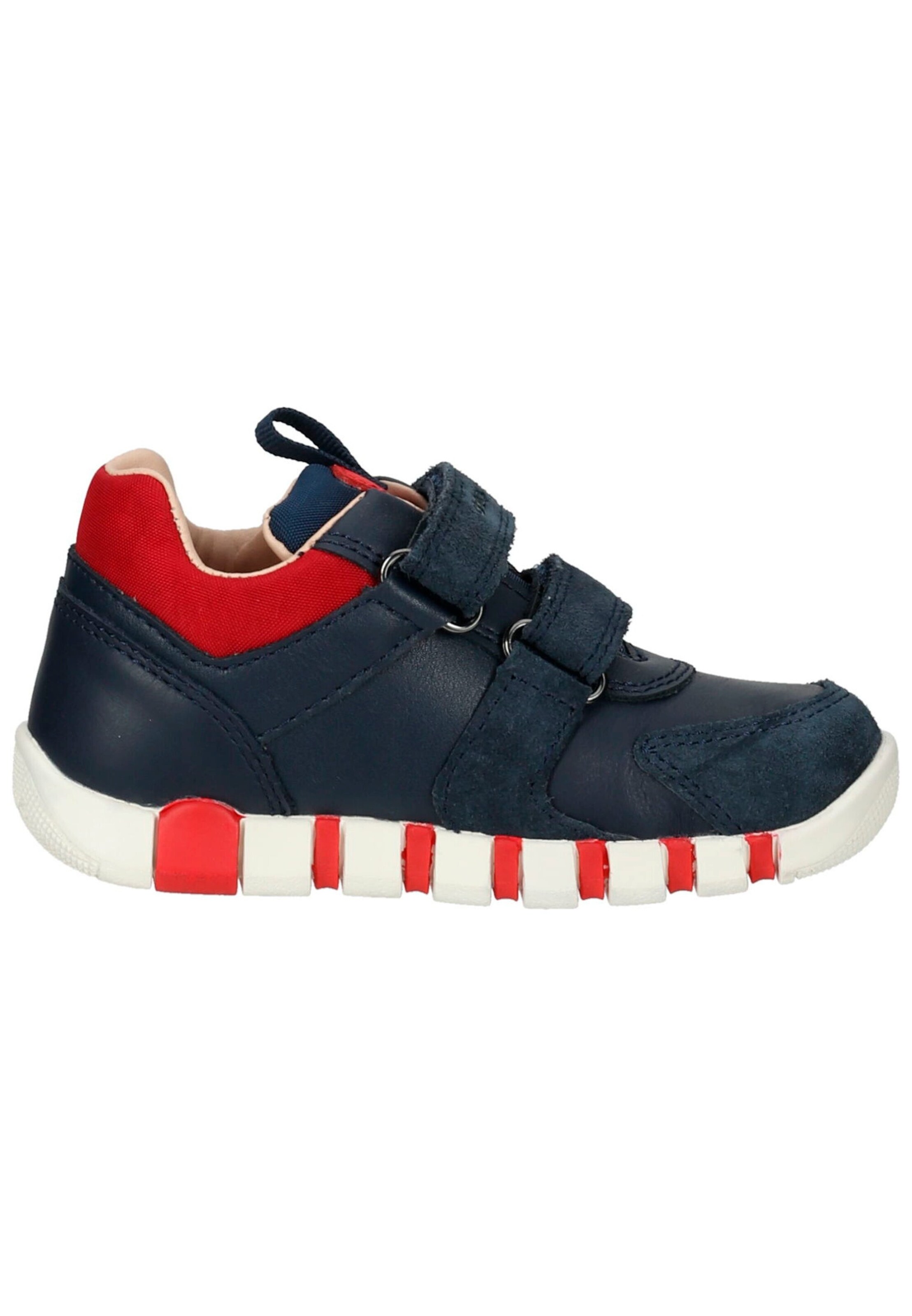 GEOX Sneaker Navy/Rot