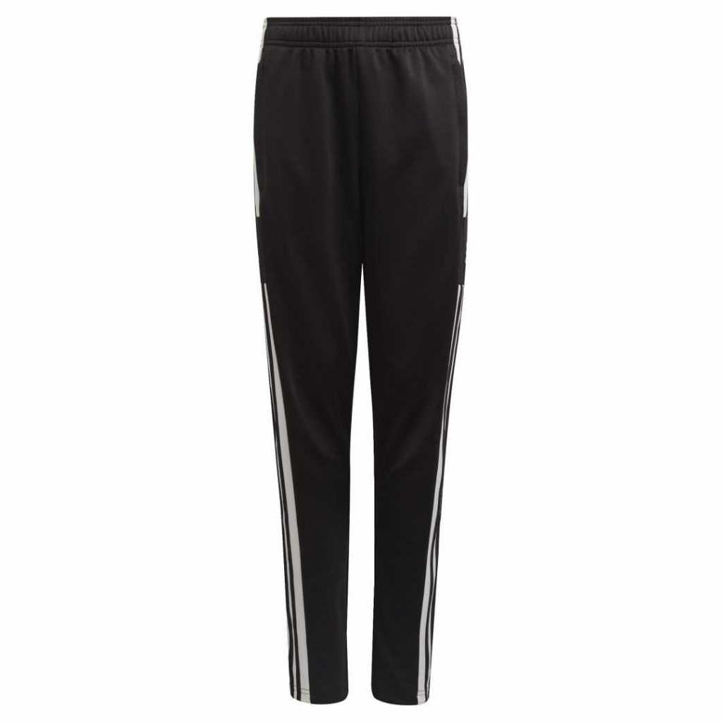 Adidas SQ21 TR PNT Y