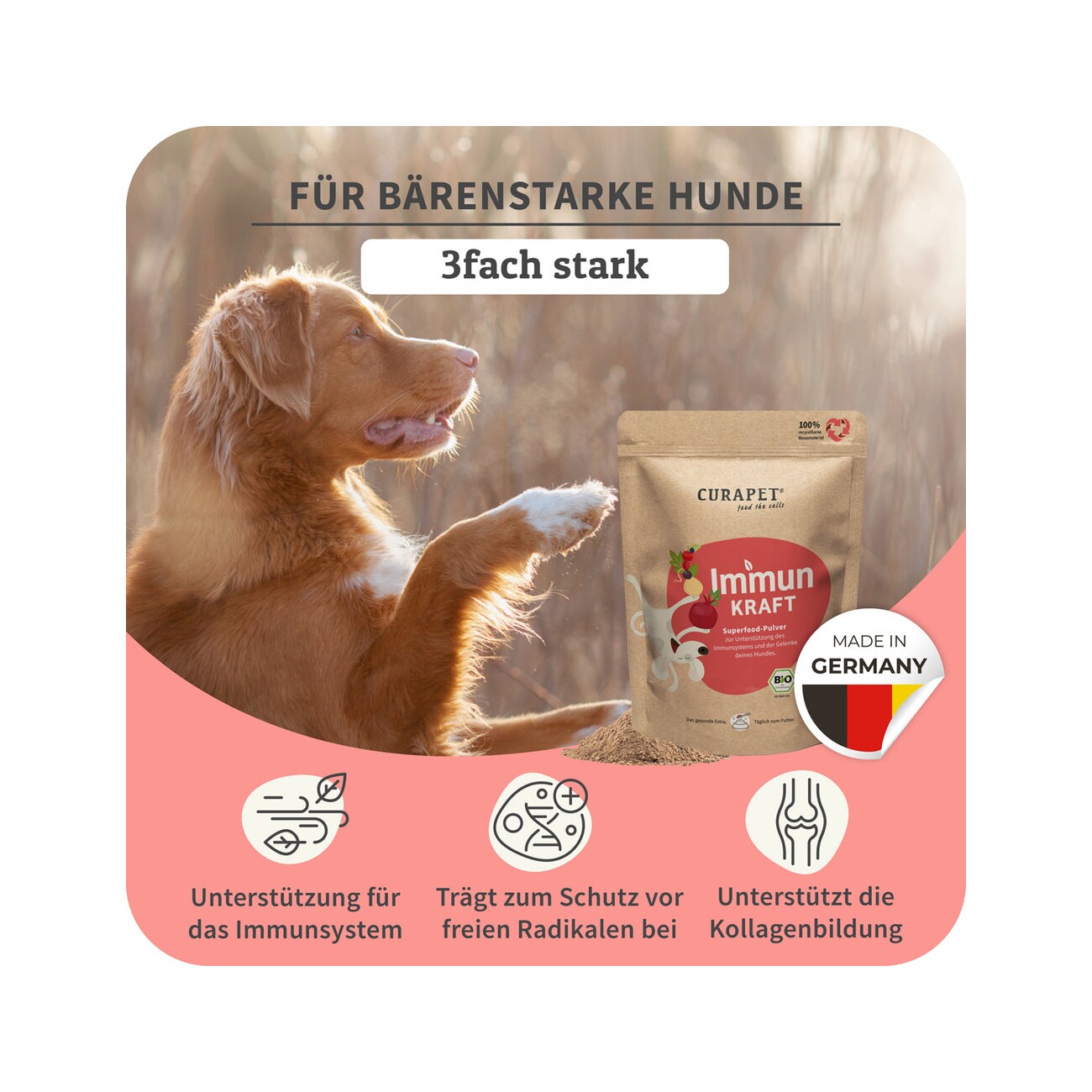 CURAPET Bio Immunpulver mit natürlichem Vitamin C - ImmunKraft 200g