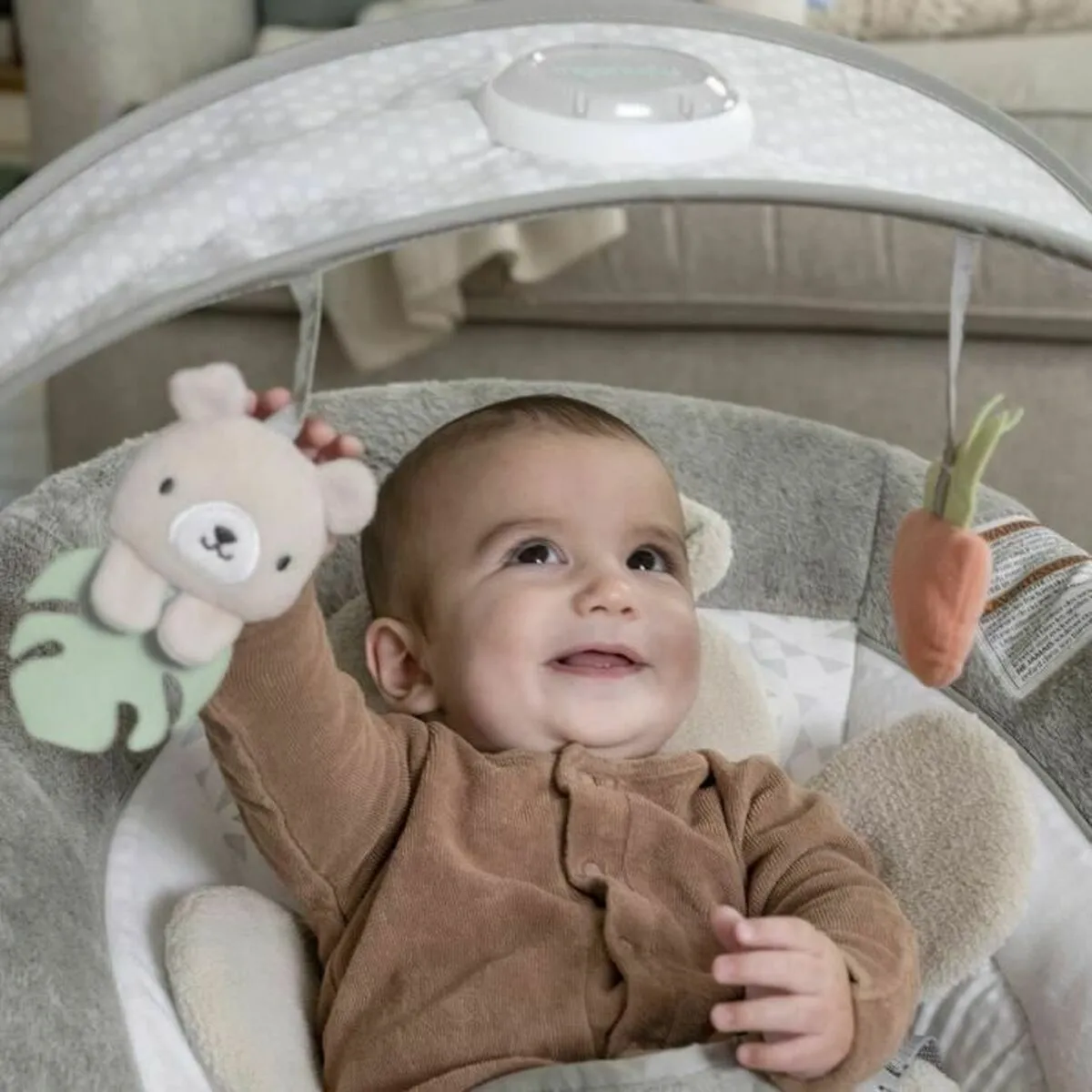 Ingenuity Hamac Bébé - Gris
