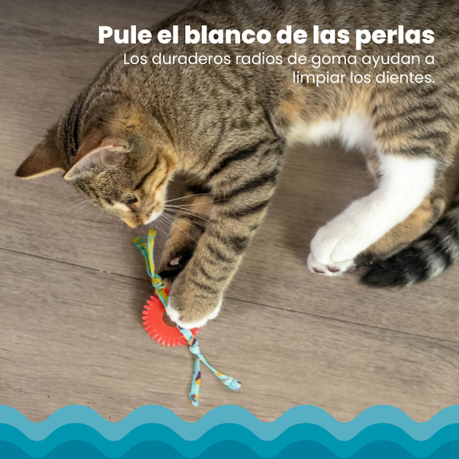 Mordedor para gatos Outward Hound Catstages Kitty Chew com roda vermelha