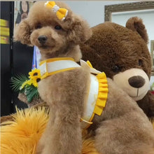 Coleira com laços de primavera Ideal Pets para cães