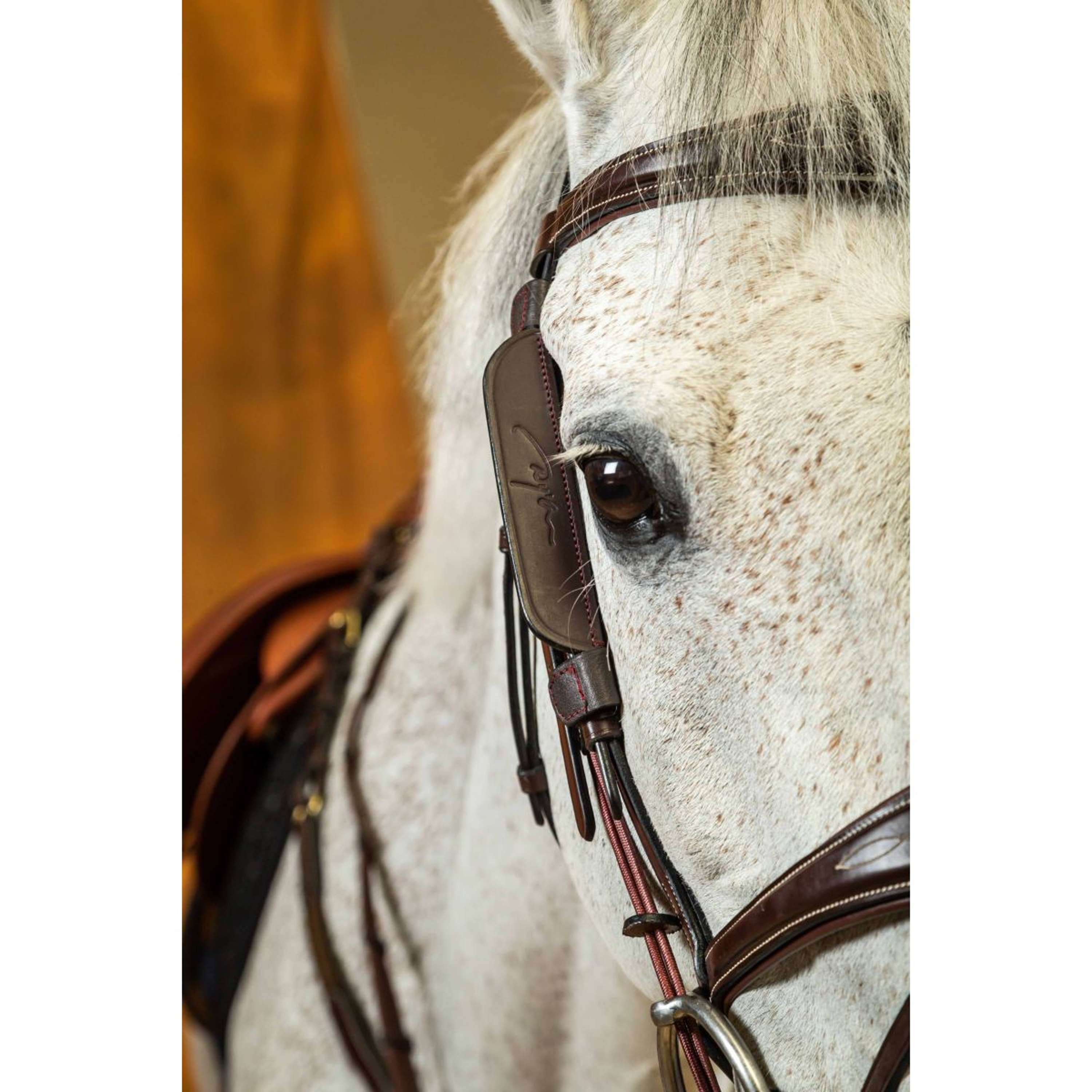 Dyon Blinkers Zwart