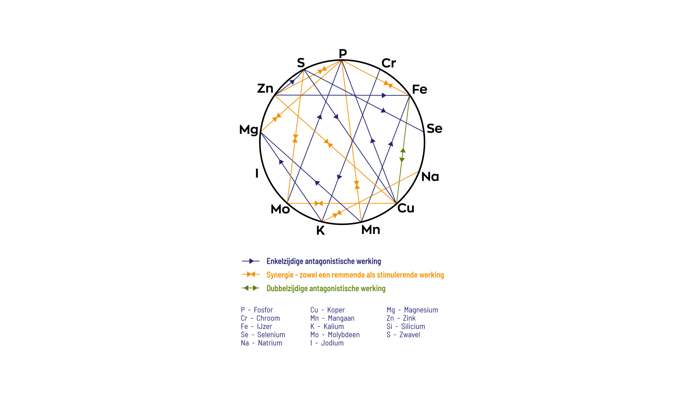 Mineralen Complex