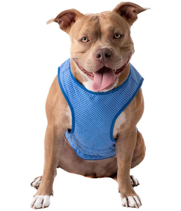GF PET® Elastofit® Hundekühlweste