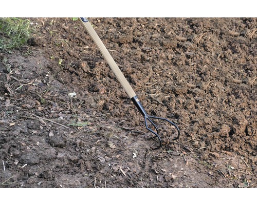 Cultivator voor_q
