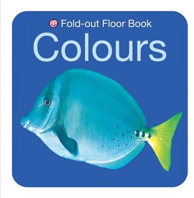 Colours - Fold-out Floor Books (Board book)