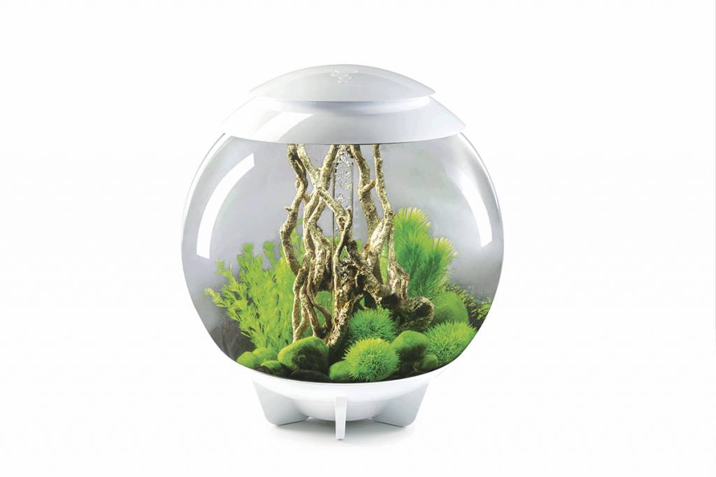 biOrb Halo 60 MCR Wit | Compleet aquarium