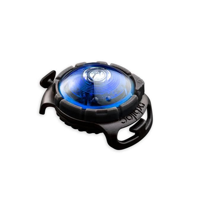 Orbiloc Sicherheitslicht Dog Dual Blue