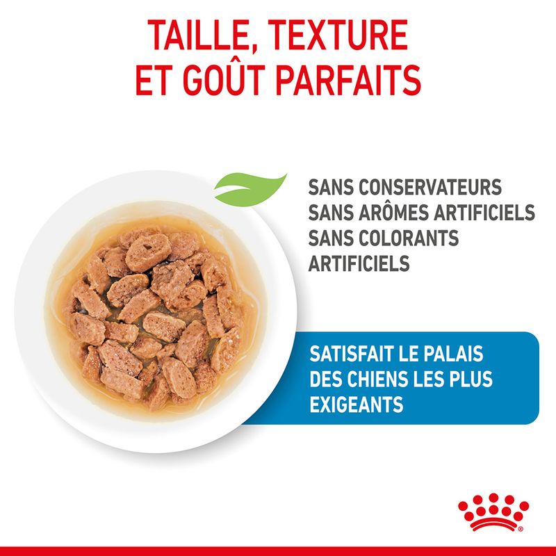 Royal Canin Mini Puppy en sauce