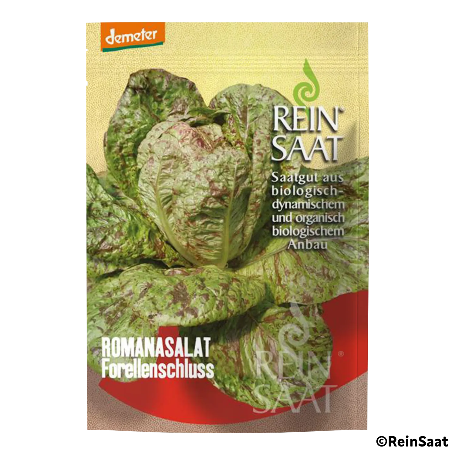 Saatgut Romanasalat 