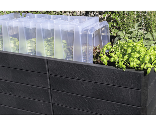 Klassieke verhoogde tuinbak GARANTIA Ergo Quadro 2 L incl. Flora waterbesparend systeem 75 160 x 80 x 75 cm steen