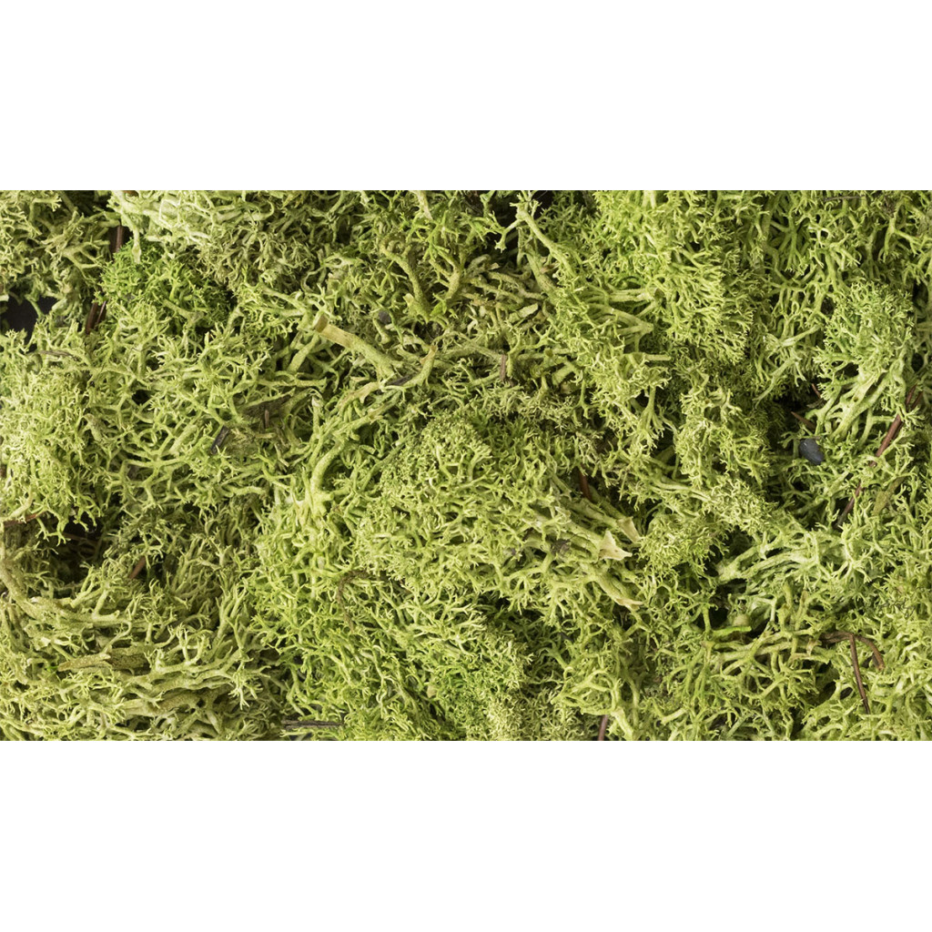 Woodland Scenics - Lichen