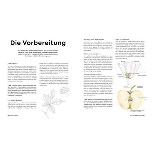 Botanicals – Naturmotive in Aquarell