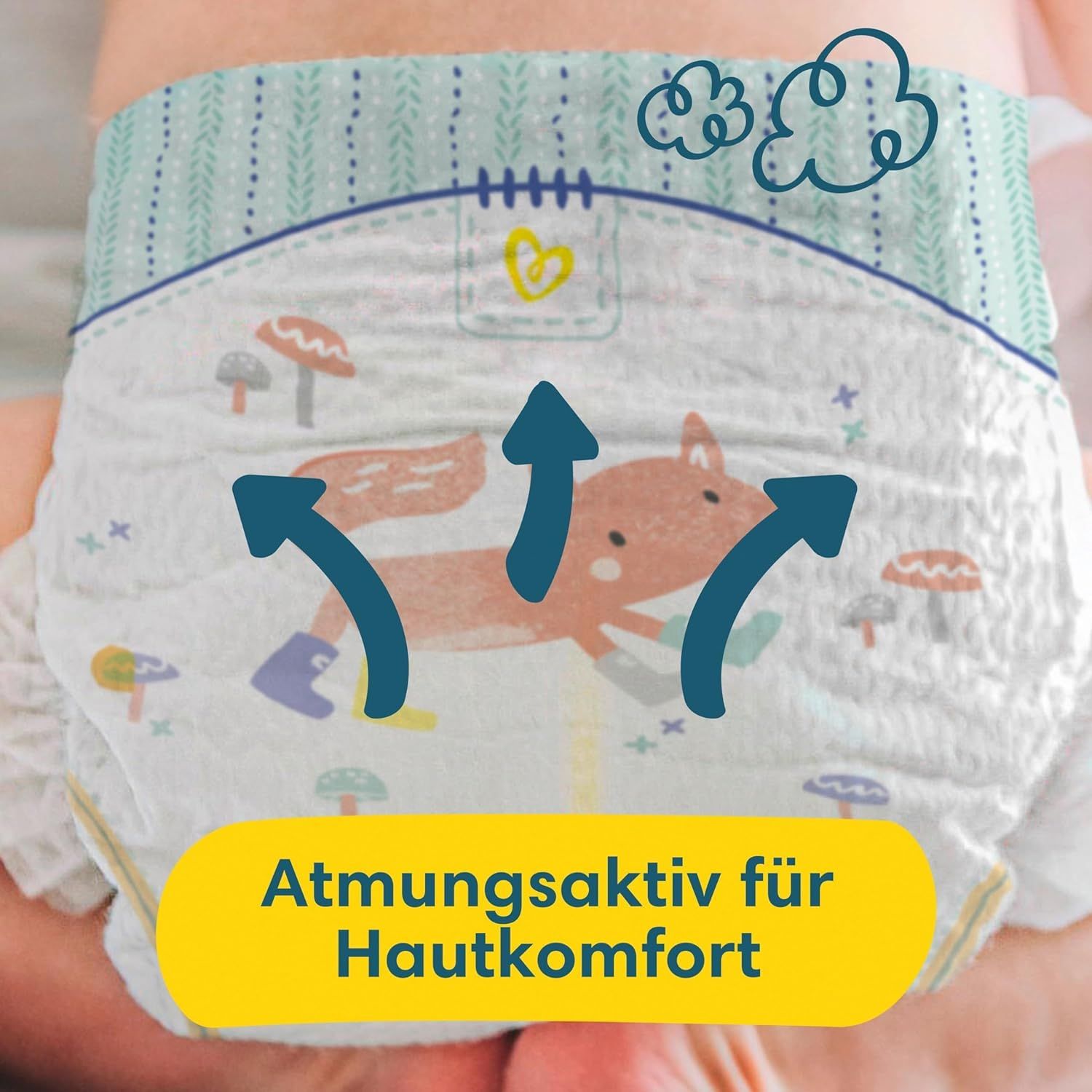 Pampers - MonatsBox 