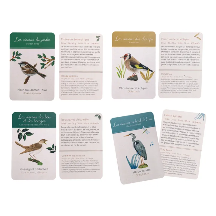 Moulin Roty Coffret découverte des oiseaux