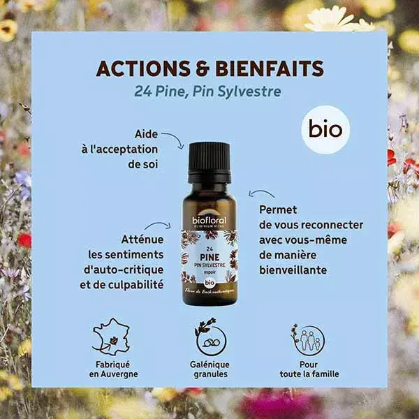 Biofloral 24 Pine Pin Sylvestre Granules Bio Fleur De Bach Granules 19,5 Gr