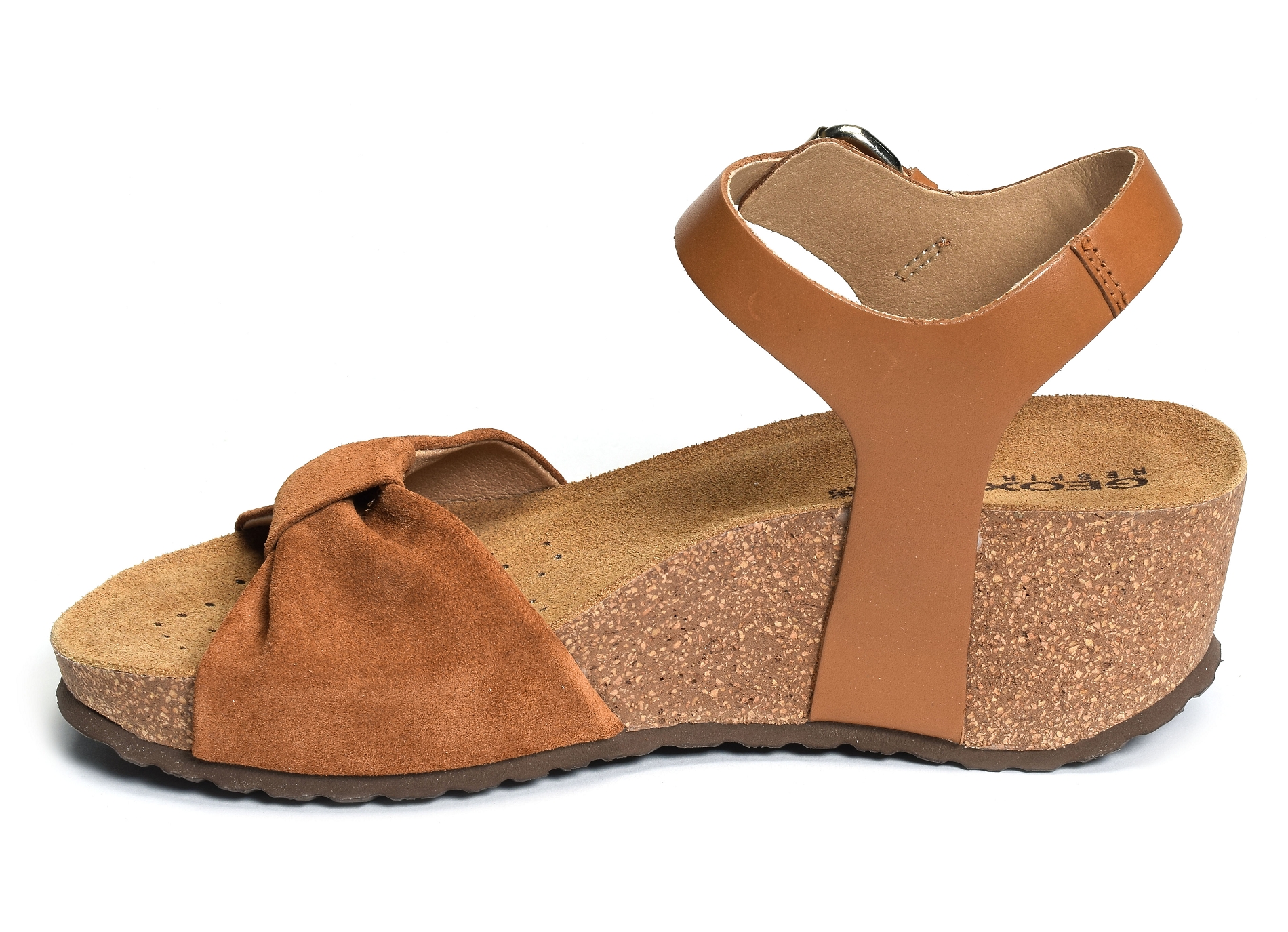 D diantha c camel