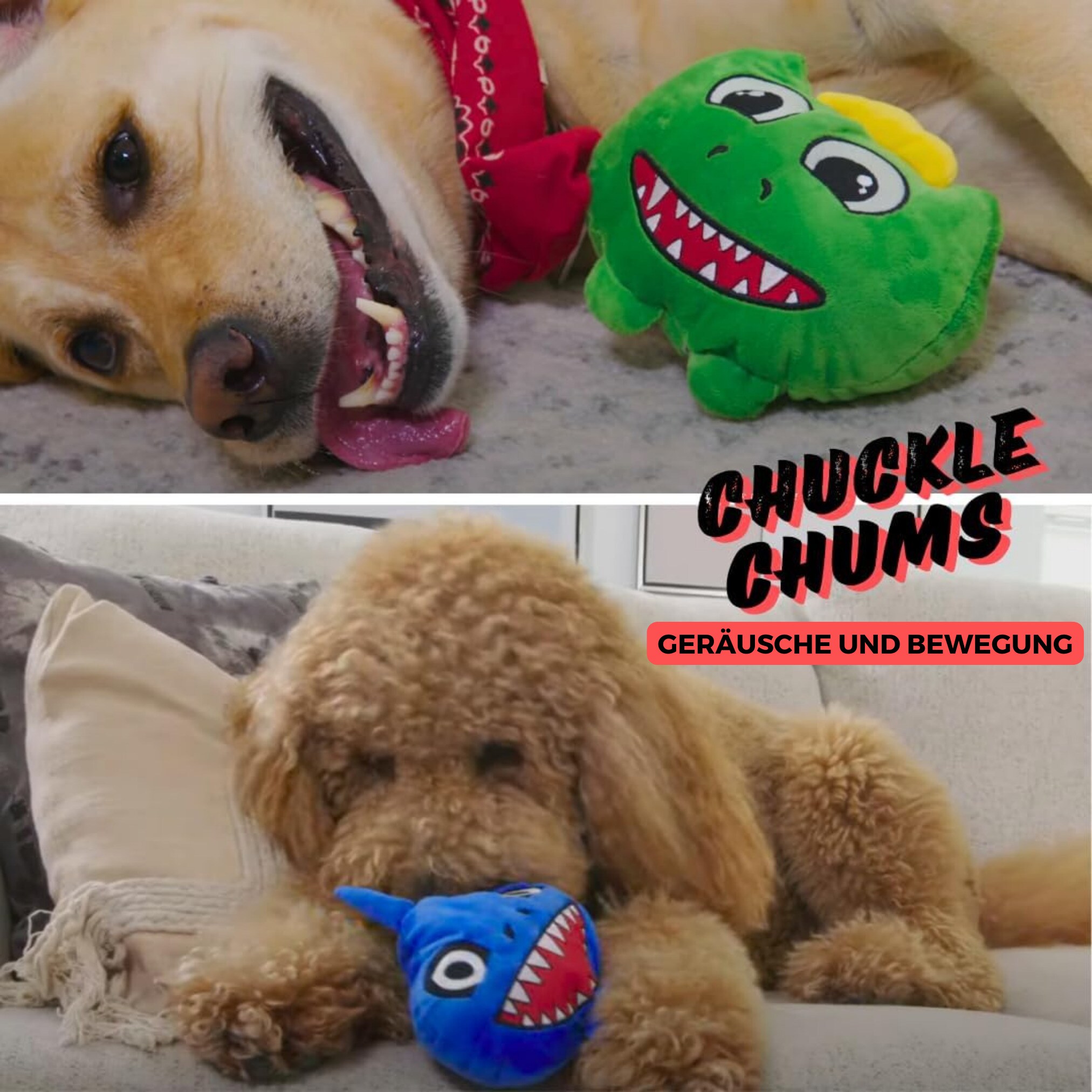 Best Direct® Interaktives Plüsch Hundespielzeug - Kauspielzeug Chuckle Chums