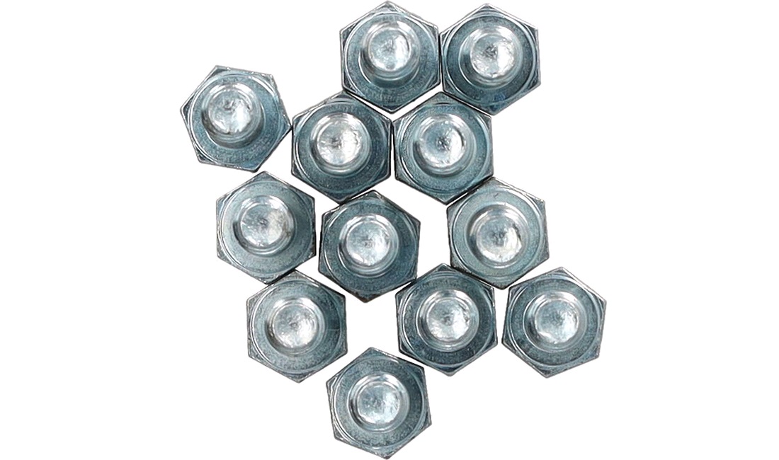 Bolte M6x30 mm - 12 stk.