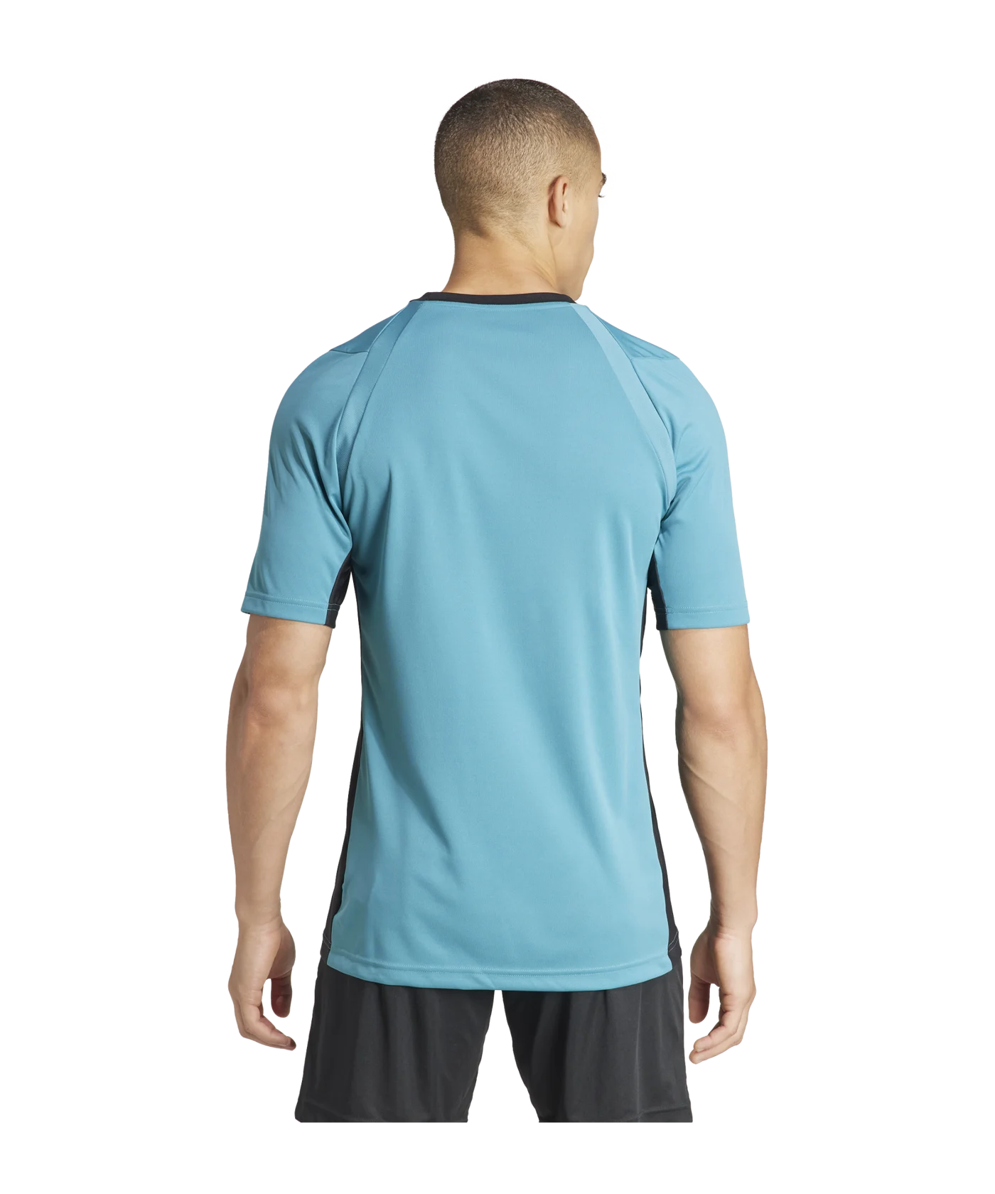 adidas Referee 24 Schiedsrichtertrikot Blau