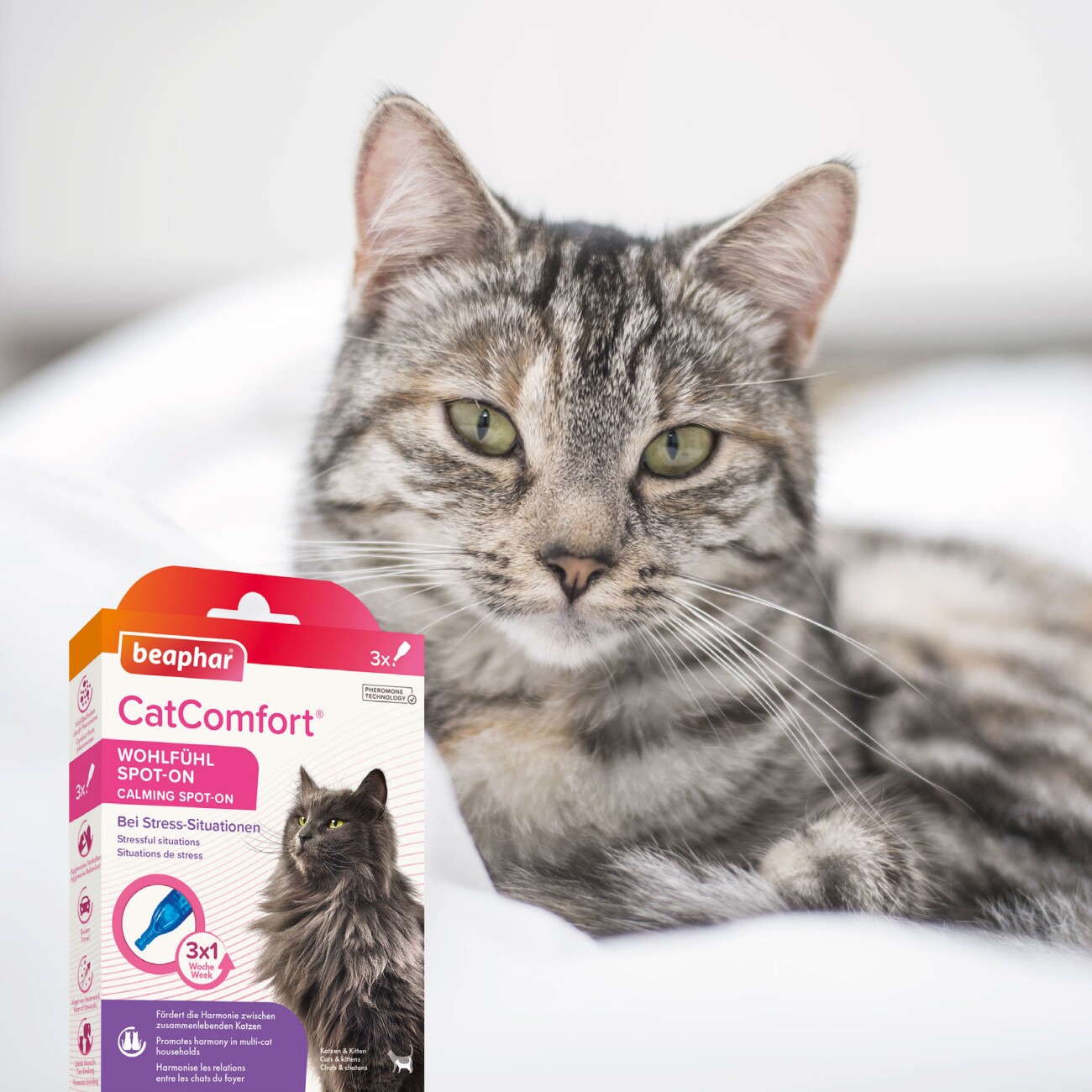Beaphar CatComfort Wohlfühl Spot-On 3x055 ml