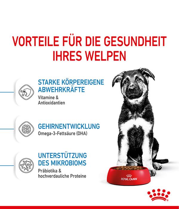 ROYAL CANIN® Trockenfutter für Hunde Maxi