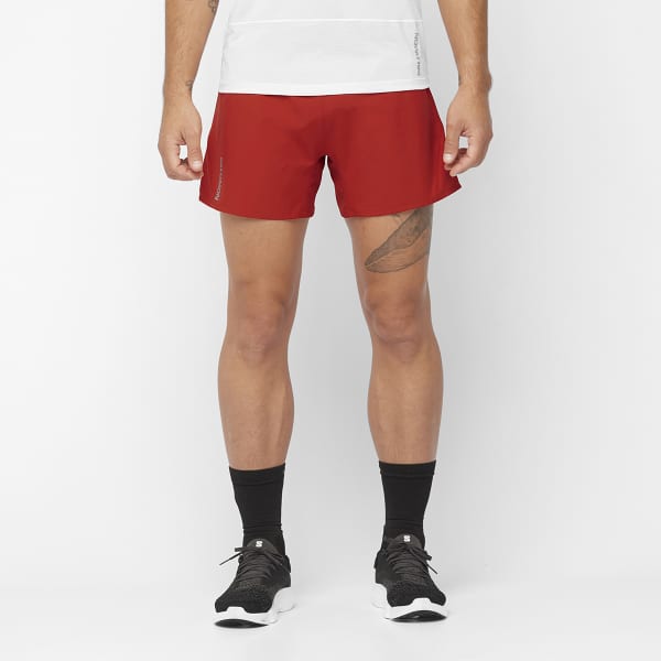 Short trail SALOMON CROSS 5'' SHORTS M RED DAHLIA