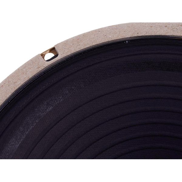 Celestion Alnico Gold 10