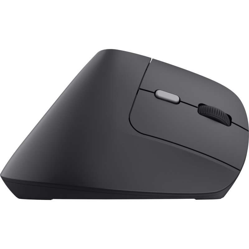 Trust TM-270 souris Bureau Droitier RF sans fil Optique 2400 DPI