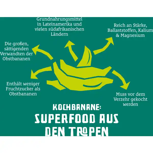 Bio Kochbananen Chips mit Meersalz