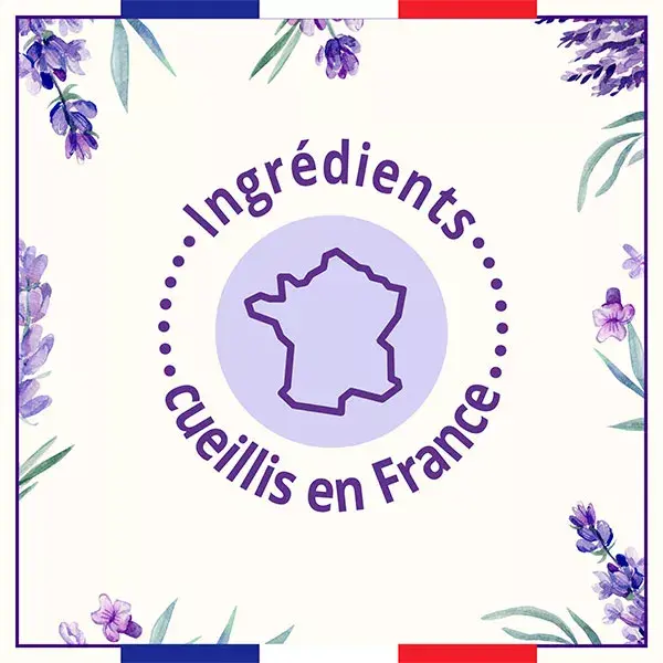 Le Petit Marseillais Sabonete Líquido Puro com Óleo de Lavanda Maxi Recarga 750ml
