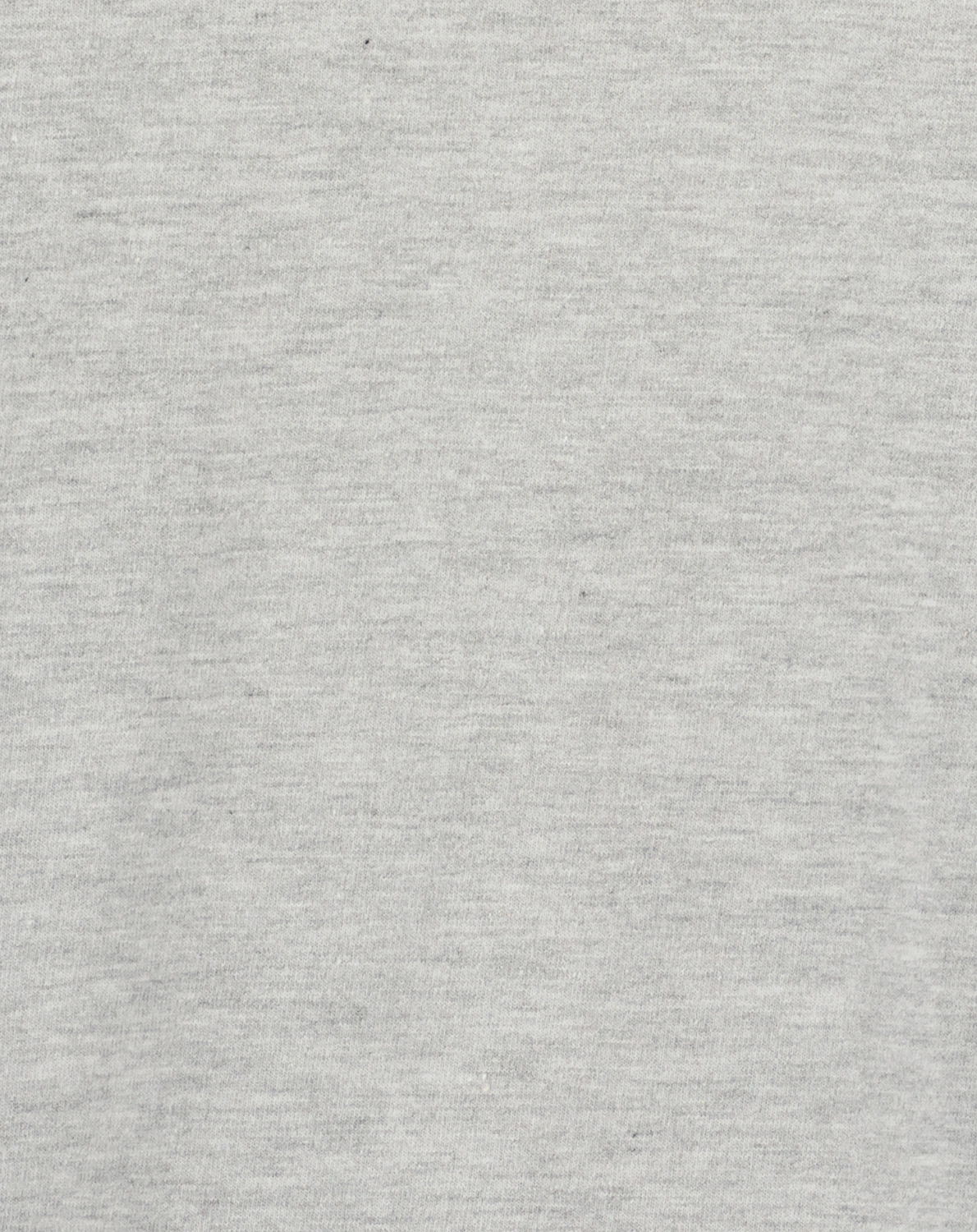 Sweatshirt T-REX ZIPP in nebel