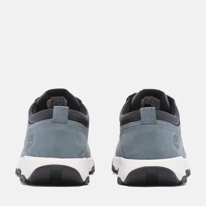 Basket Winsor Park pour homme en bleu