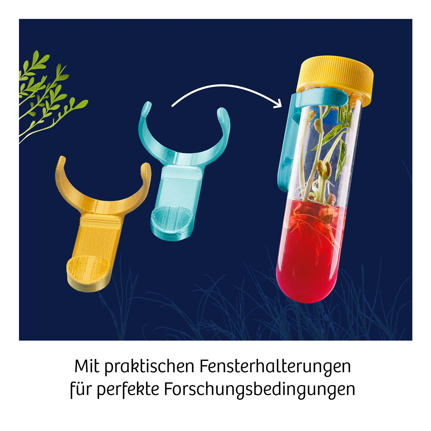 Experimentier-Set FUN SCIENCE - AQUA-GEL-PFLANZEN
