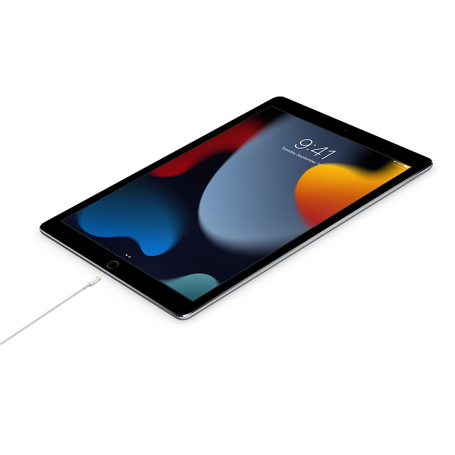 Apple Câble USB-C vers Lightning - 2 m