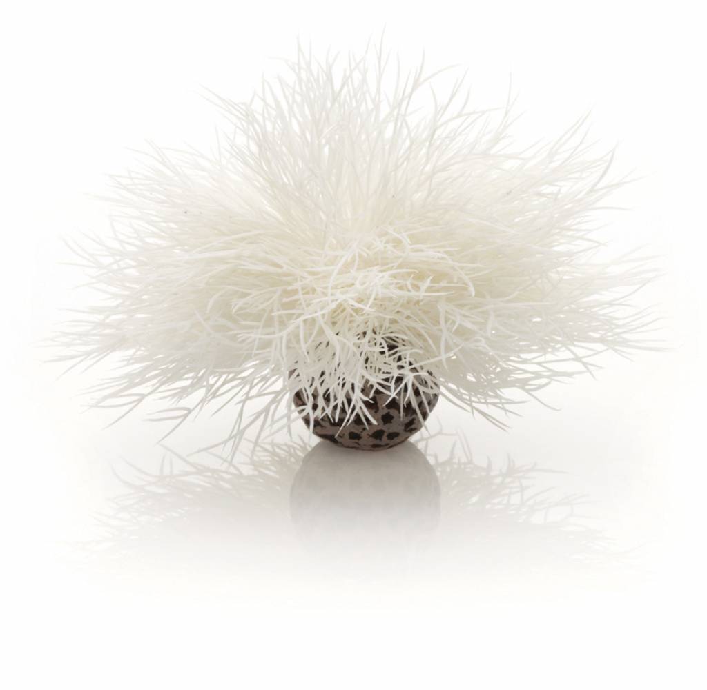 biOrb Sea lily white | ornament biorb aquarium