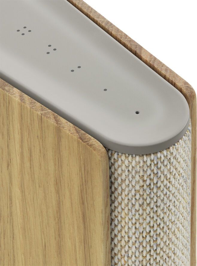 Bang & Olufsen Beosound Emerge Gold Tone