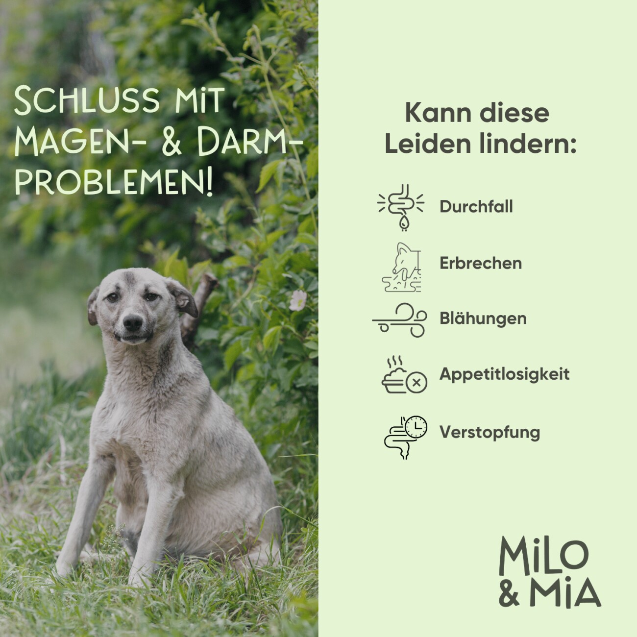Milo & Mia Daily Bites - Magen & Darm Snack 300 g