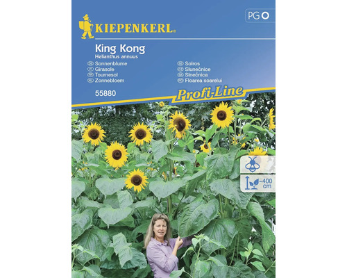 Zonnebloem King Kong Kiepenkerl Open-pollinated zaden Bloemenzaden