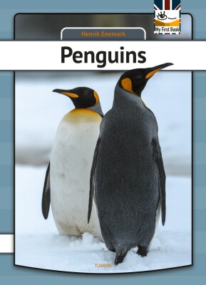 Penguins - Henrik Enemark - English Book