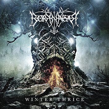 Winter thrice | Borknagar CD