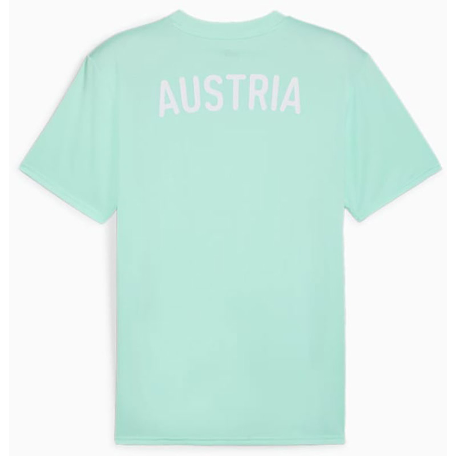 Puma Oostenrijk Training Shirt 2024/2026