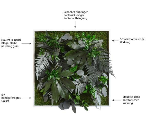 styleGREEN Bild aus Wald- und Kugelmoos,