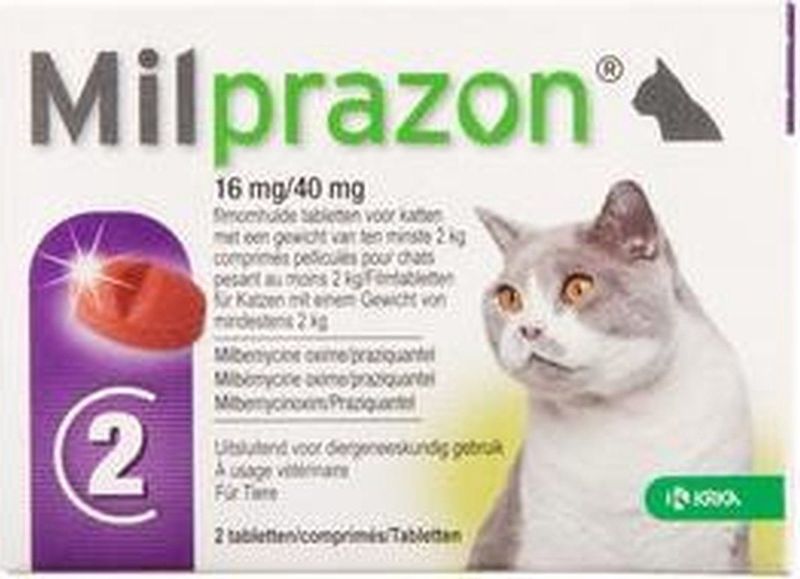Milprazon Kat Groot 2 tabletten