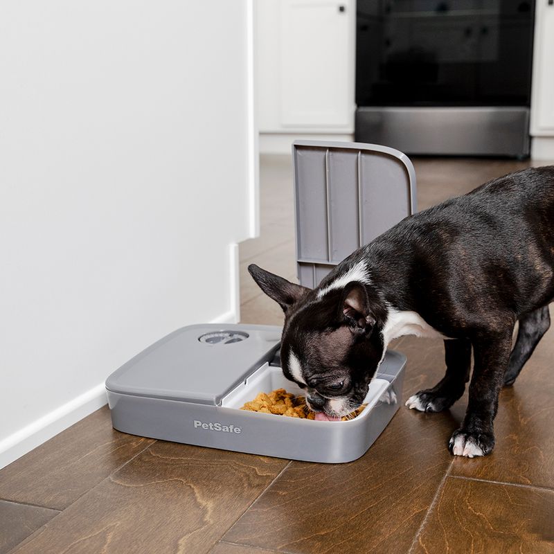 PetSafe Distributeur automatique de nourriture 2 repas