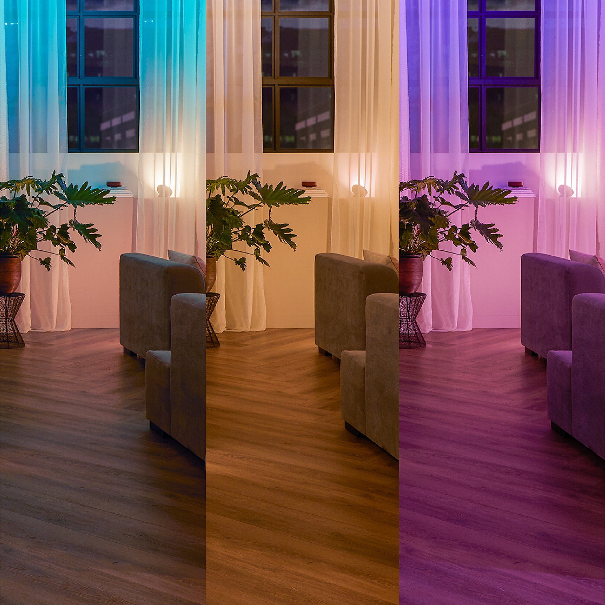Philips Hue wall switch module wit (2-Pack)
